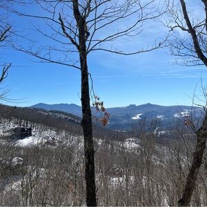 Meet your Posher, Anya